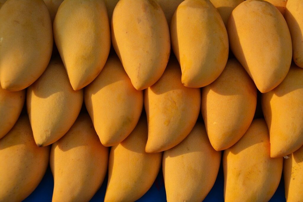 mangoes, fruit, mango